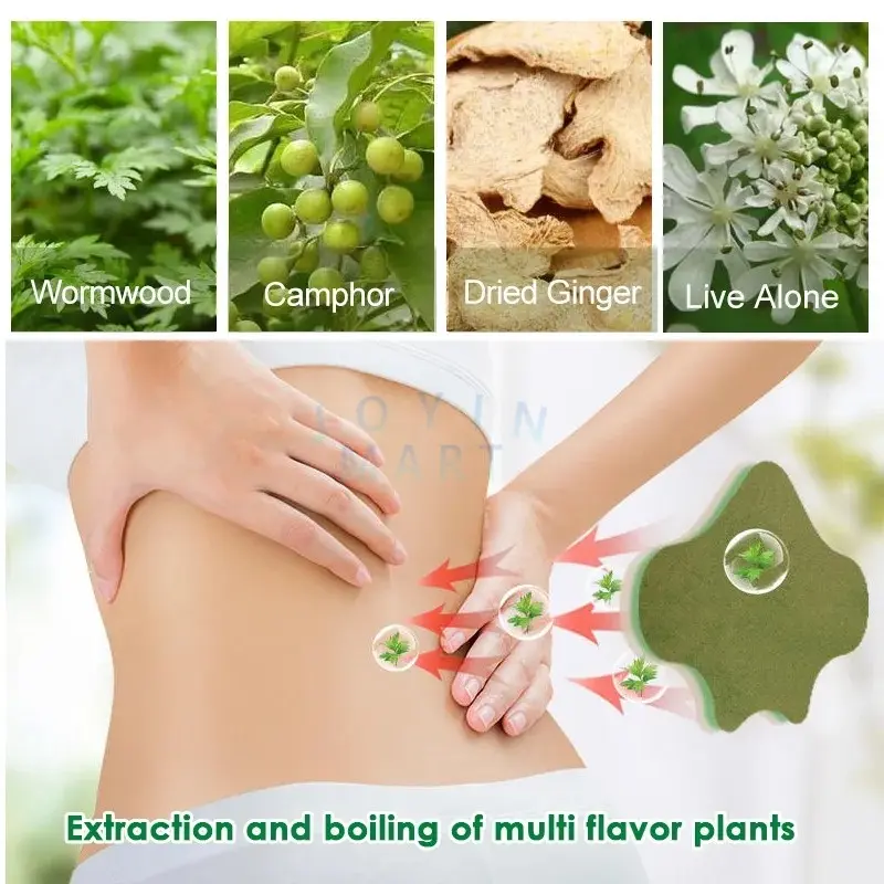 Koyo Herbal Tulang Belakang Isi 10 Pad / Stiker Plaster Detox Tempelan Pereda Pegal Linu Penghilang Nyeri Sendi 5