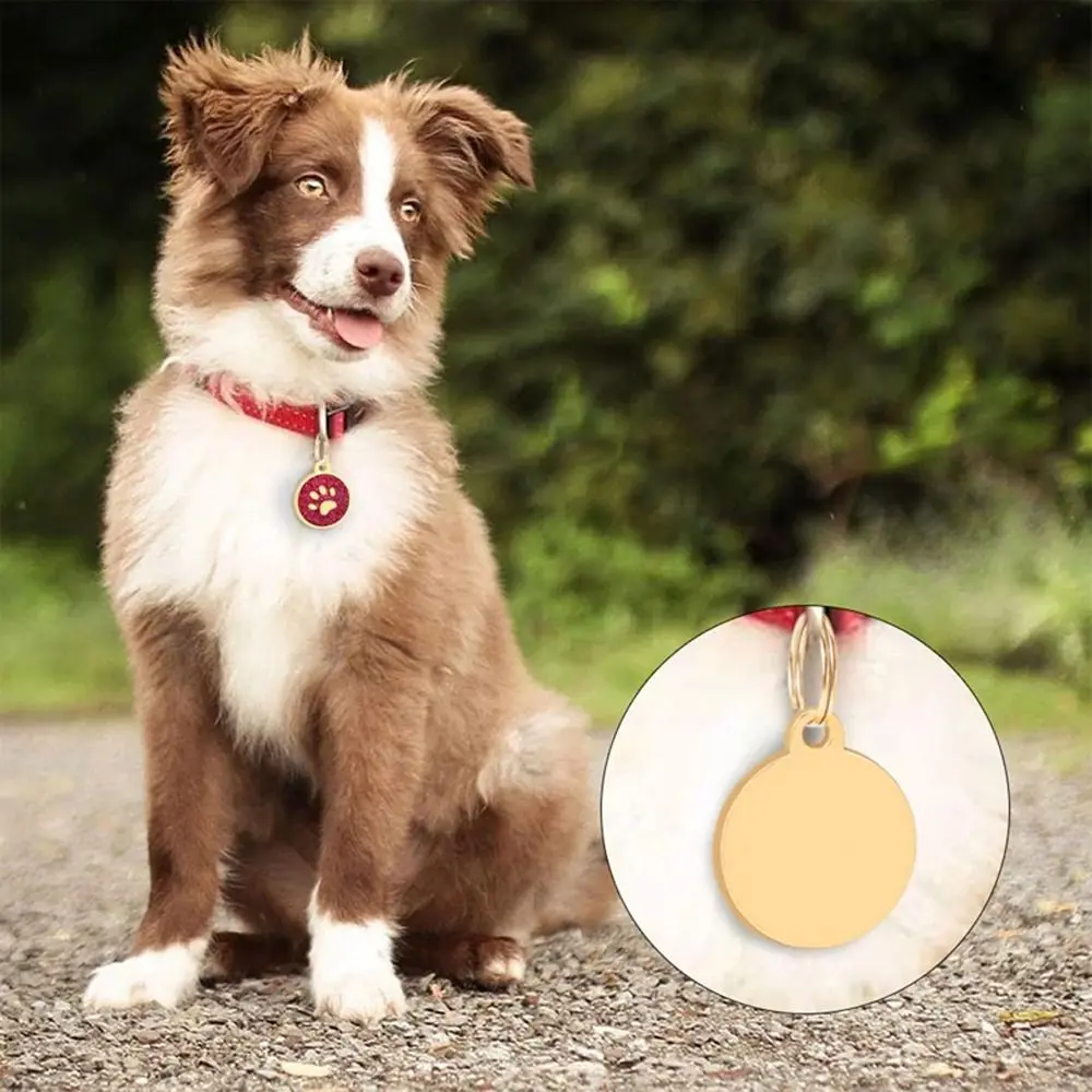Chihuahua Collar Accessories Anti-Lost Dog Id Name Tag Pet Paw Personalized Cat Tags Exquisite with Hook Pet Glitter Pendant Kitten