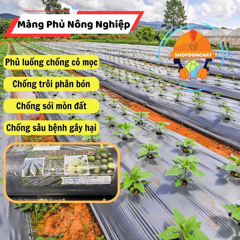  MÀNG PHỦ NÔNG NGHIỆP PHỦ LUỐNG. Màng Phủ Chống Cỏ Mọc Chống Bay Hơi Nước   loại 16 mic  _ 2 Mặt bạc-đen . cuộn 400mét. 