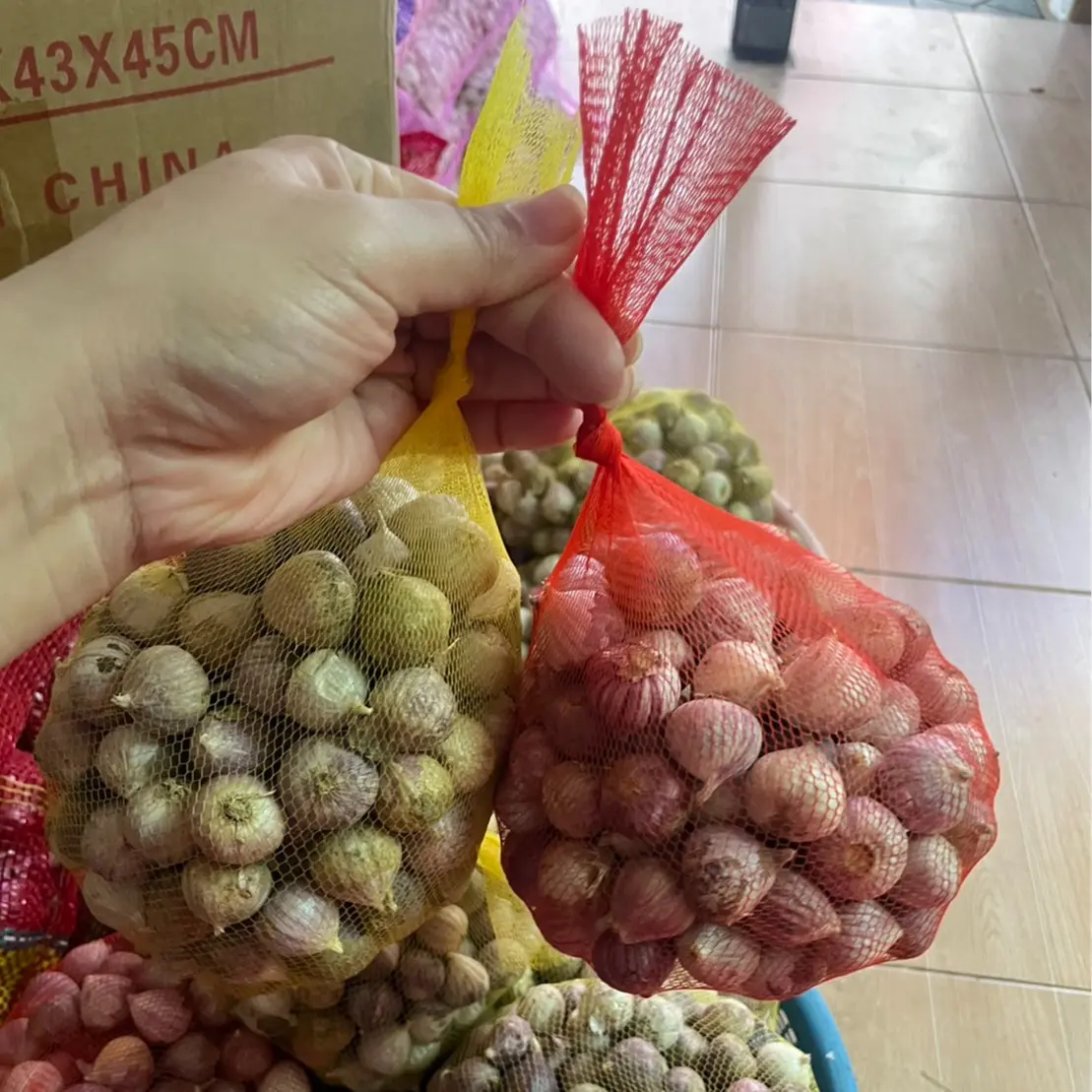 กระเทียมโทน เป่าแห้ง คัดสวย น้ำหนัก 1 kg. เป็นธรรมชาติ แห้งสวย หัวกลม