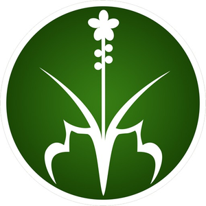 Trầm Hương Huế - Tân Nguyên