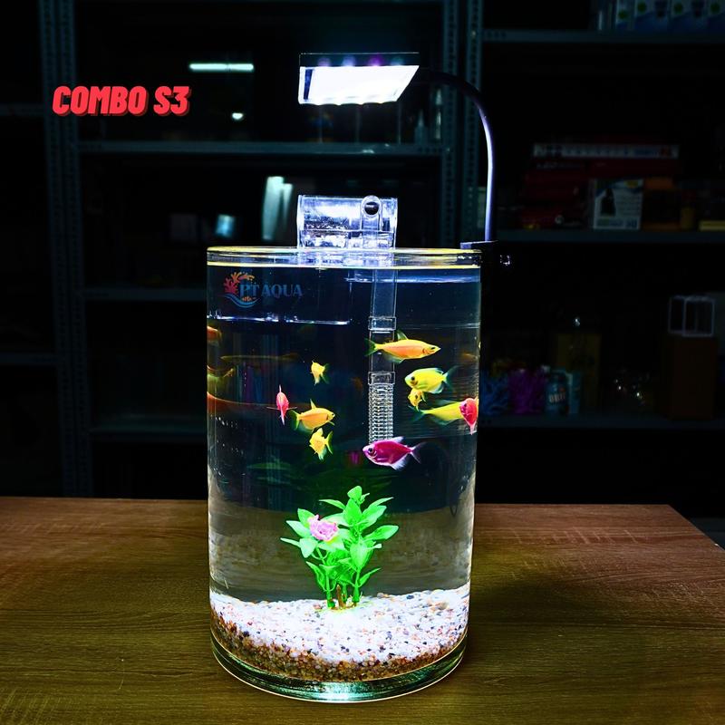 Bể cá mini tròn để bàn D20-H30 chất liệu thủy tinh để nuôi cá cảnh