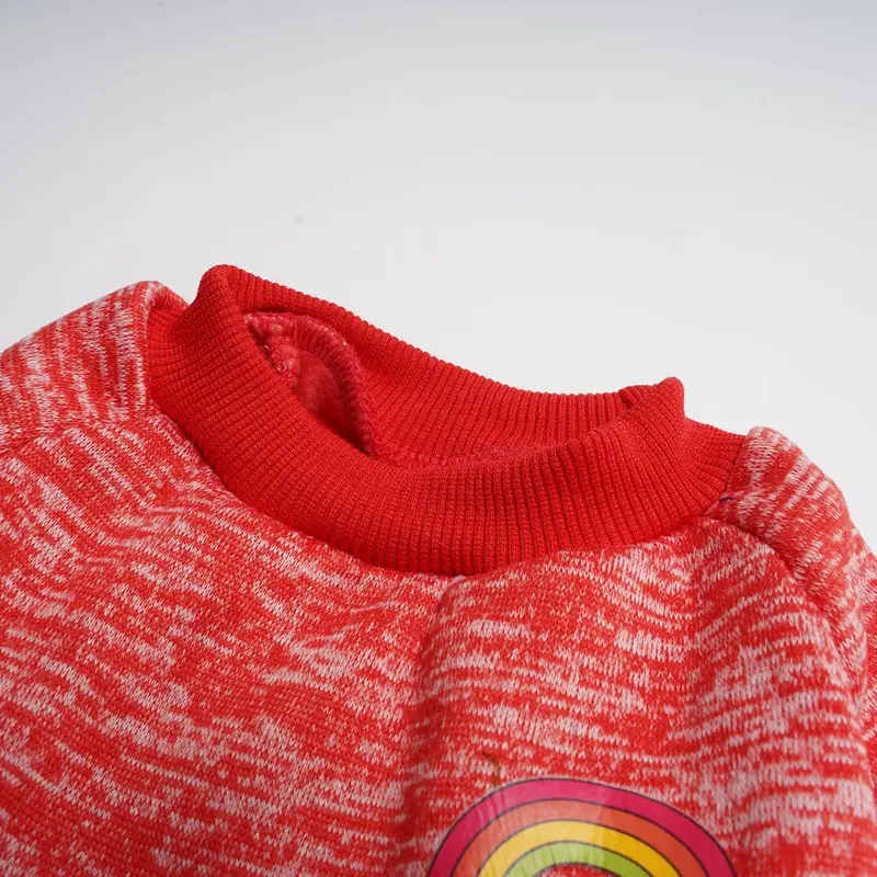 Rainbow Leather Label Dog Sweater, Casual Soft Comfortable Pet Clothes for Small Medium Large Dogs, Dog & Cat Clothing Supplies 8