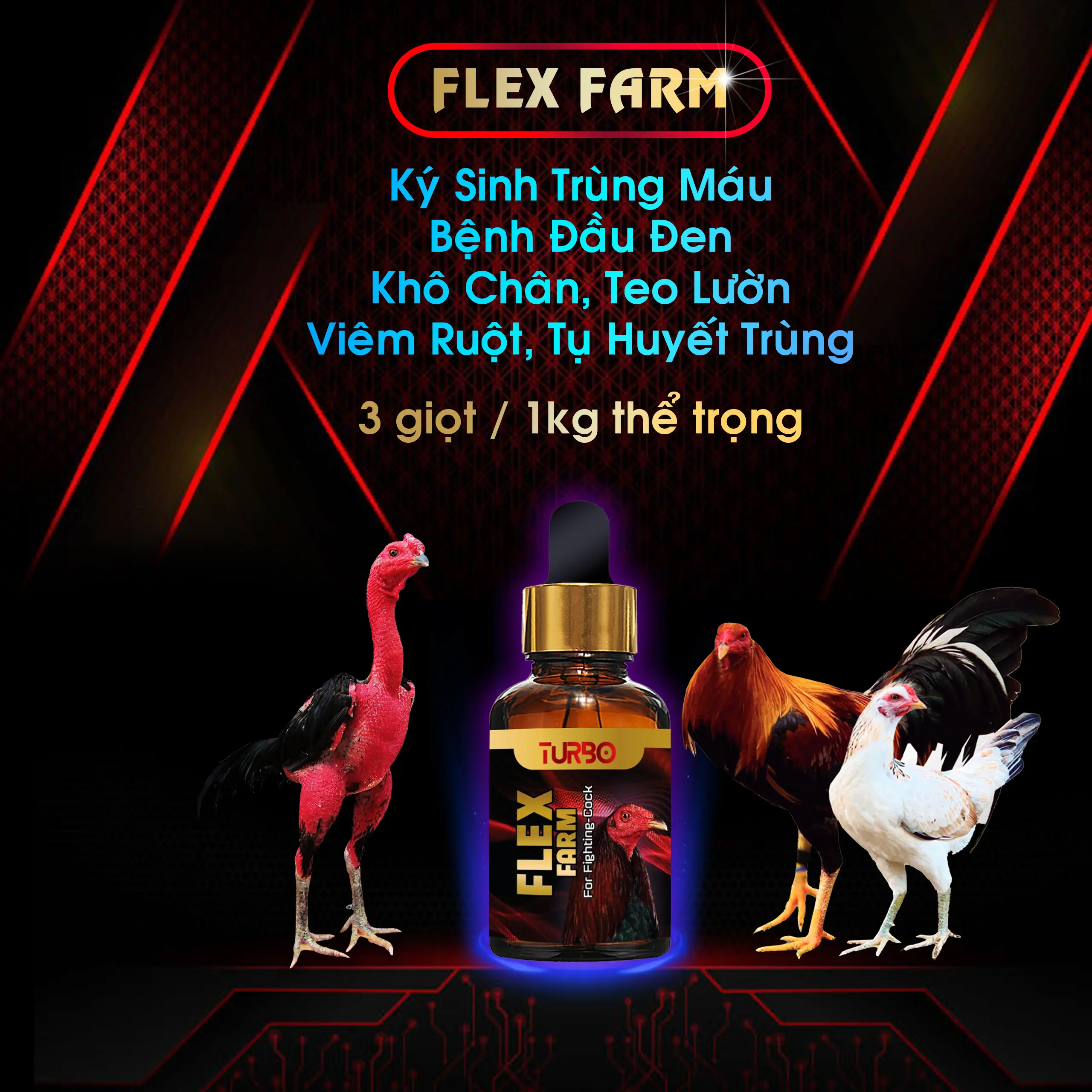 FLEX FARM chữa khô chân, teo lườn, ký sinh trùng máu trên Gà