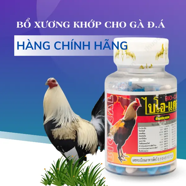 Bio Cal Bổ Sung Canxi Khỏe Gân Gối, Vitamin Cho Gà