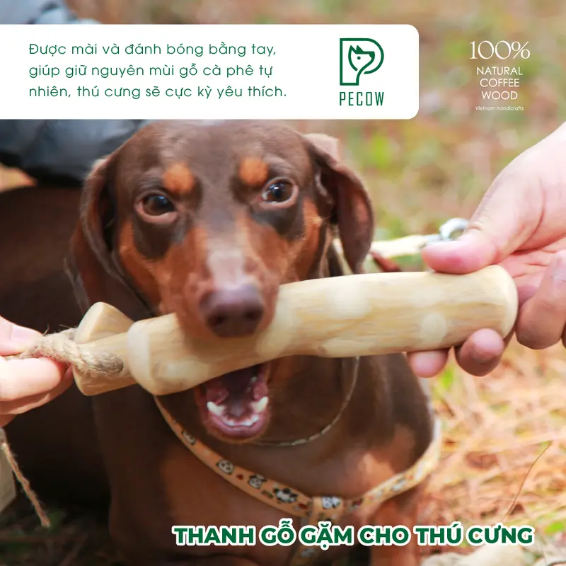 Thanh gặm cho chó bằng gỗ cà phê tự nhiên XL - Giảm căng thẳng và lo âu cat toys 5