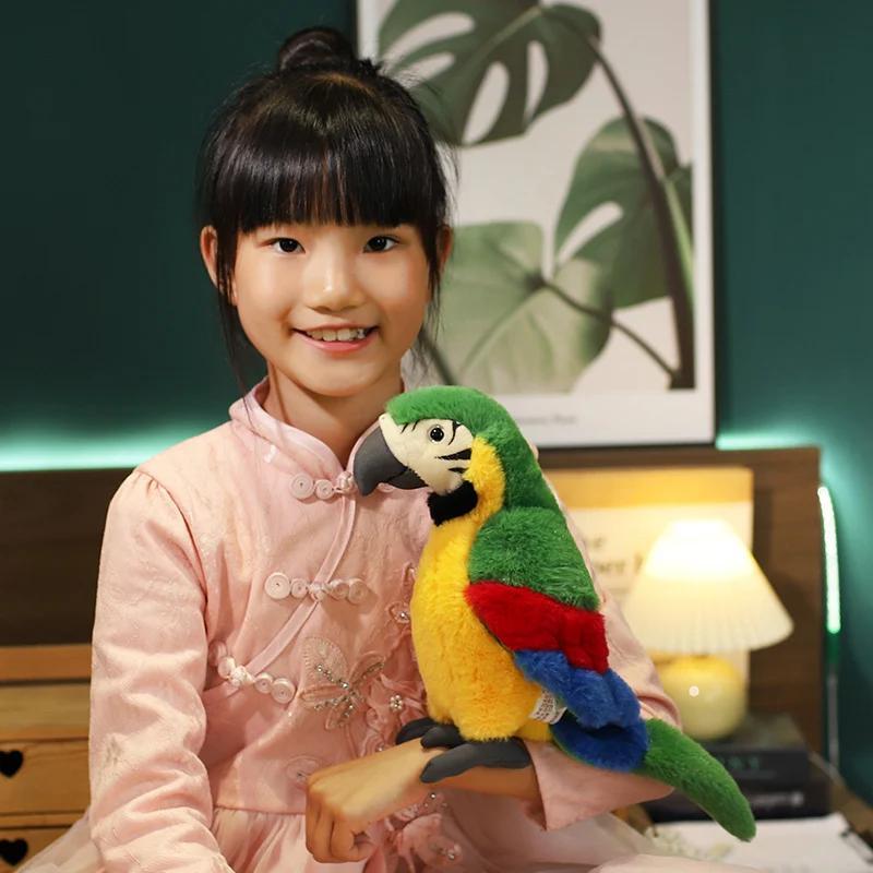 Product Introduction of 25CM Lifelike Bright Colorful Parrot Plush Toys Soft Simulation Wild Animals Stuffed Bird Doll Children Kids Gift Home Decor 18