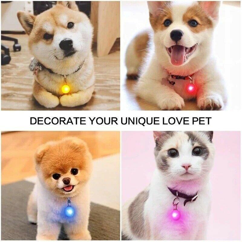 Product Introduction of Night Safety Dog Collar Glowing Pendant LED Flash Lights Pet Leads Accessories Glow In The Dark Bright Necklace Dog Collar 23