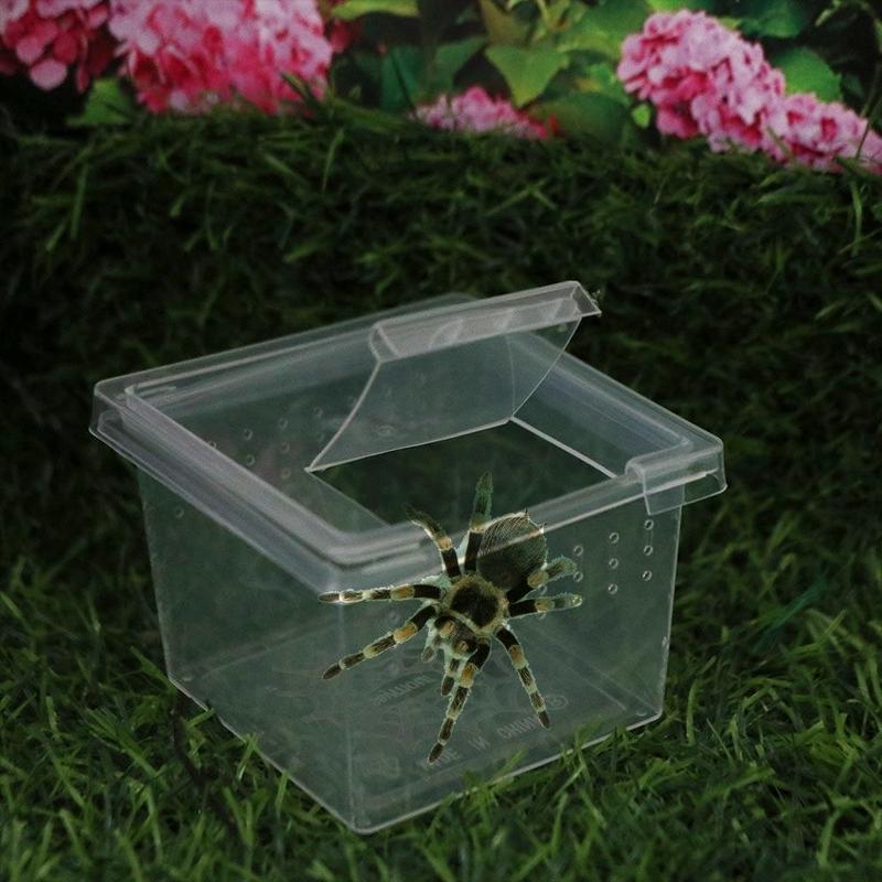 PET HOTLE 1PC Practical Transparent Reptile Accessories Plastic Household Lizard Living Box Hatching Tank Insect Feeding Box Reptile Habitat 1
