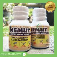 Gambar Umpan Praktis Pembasmi Semut dan Kecoa dari TaniMajuJaya Kab. Malang 1 Tokopedia