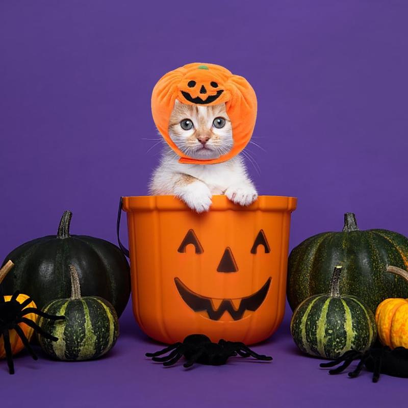 Product Introduction of Creativity Halloween Pet Pumpkin Hat Orange Adjustable Cat Pumpkin Headwear Cute Cosplay Costume Pet Pumpkin Cap 13