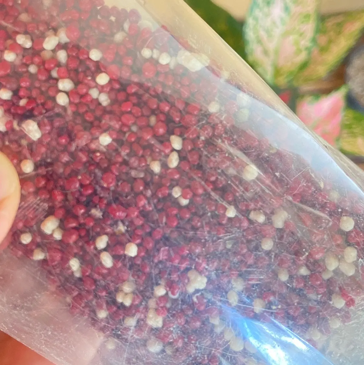 Pupuk Mutiara merah super