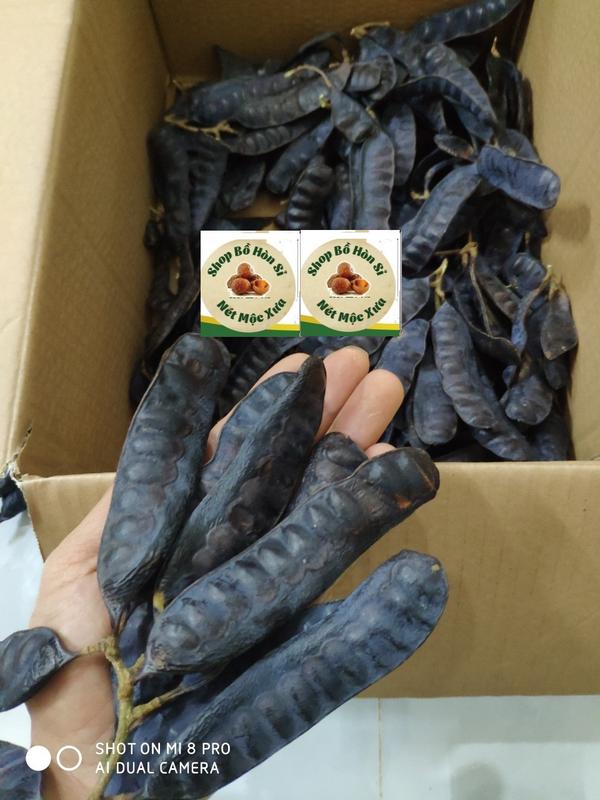 BỒ KẾT KHÔ VỤ MỚI 1KG HÀNG SẠCH MẨY ĐẸP TRÁI TO LỰA bột  bồ dầu  gội