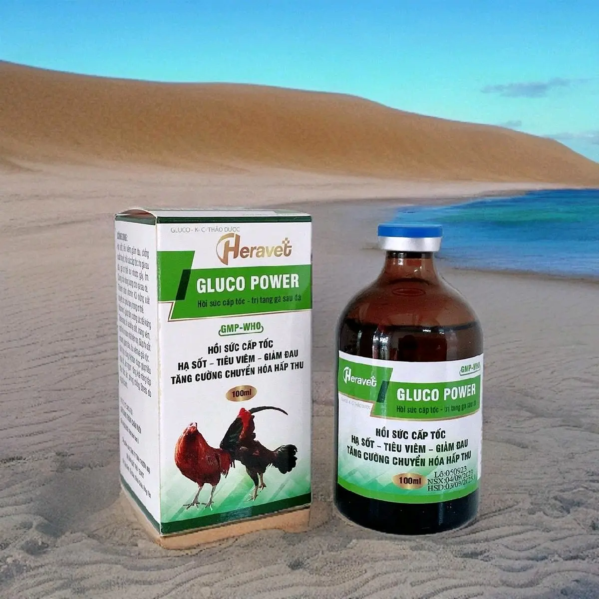 Gluco Power: Thuốc trị tang và phục hồi sau đá - Tăng cường chuyển hóa hấp thu