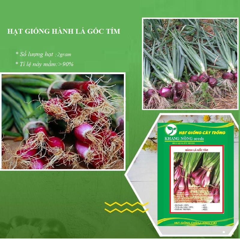Hạt giống hành lá gốc đỏ F1 cao sản - 1 gói 2gram