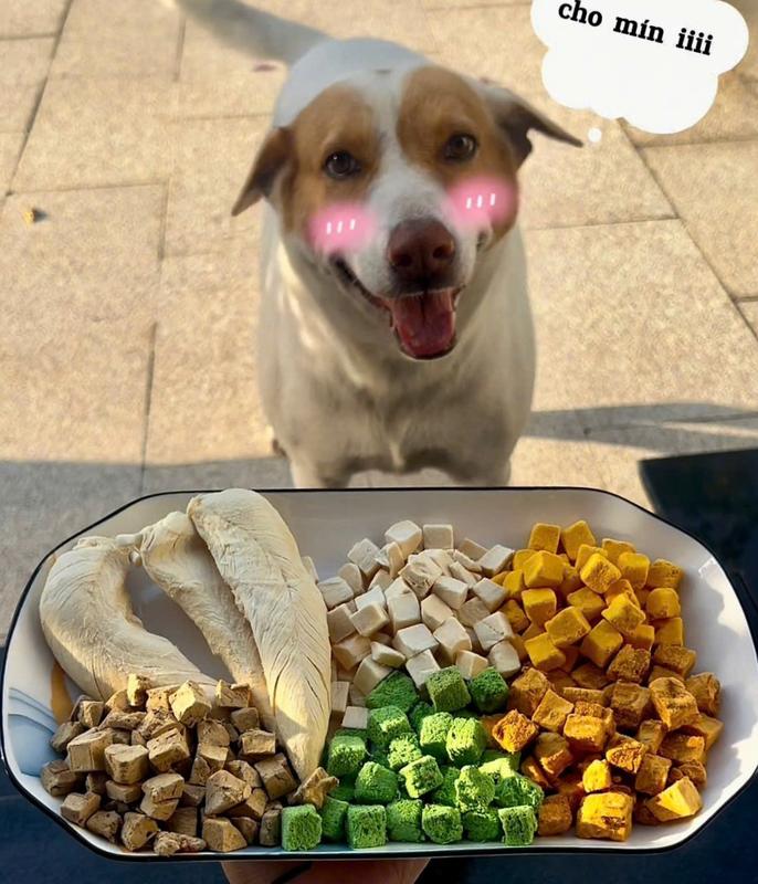 [Hàng loại 1] - Thức ăn sấy khô cho chó mèo - Đa dạng nhiều mùi vị - Ăn vặt giúp tăng trọng - Kiểm soát cân nặng pet food