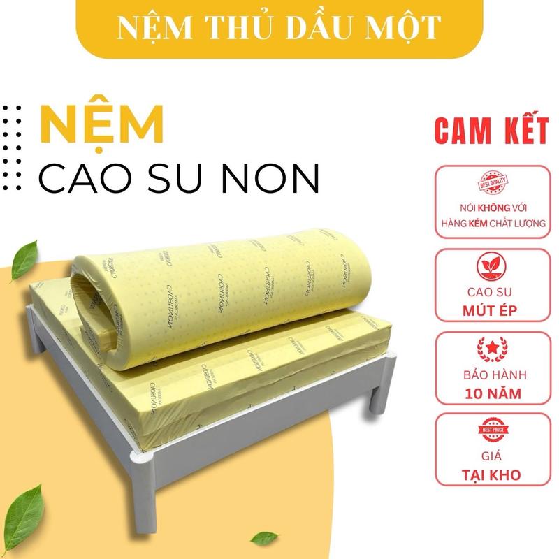 Nệm Cao su non bình dân phoi nhan tao