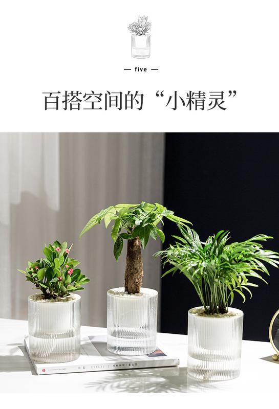 Product Introduction of High-auality Plant Self-watering Pot with Water Container Home Decoration Round Decorative FlowerPot and Planter for Garden 11
