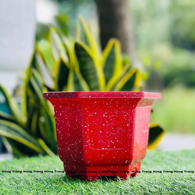 [Combo 10 cái ] Chậu Nhựa Lục Giác 210 (Miệng 23cm x Cao 15cm) - Chậu Cảnh 5