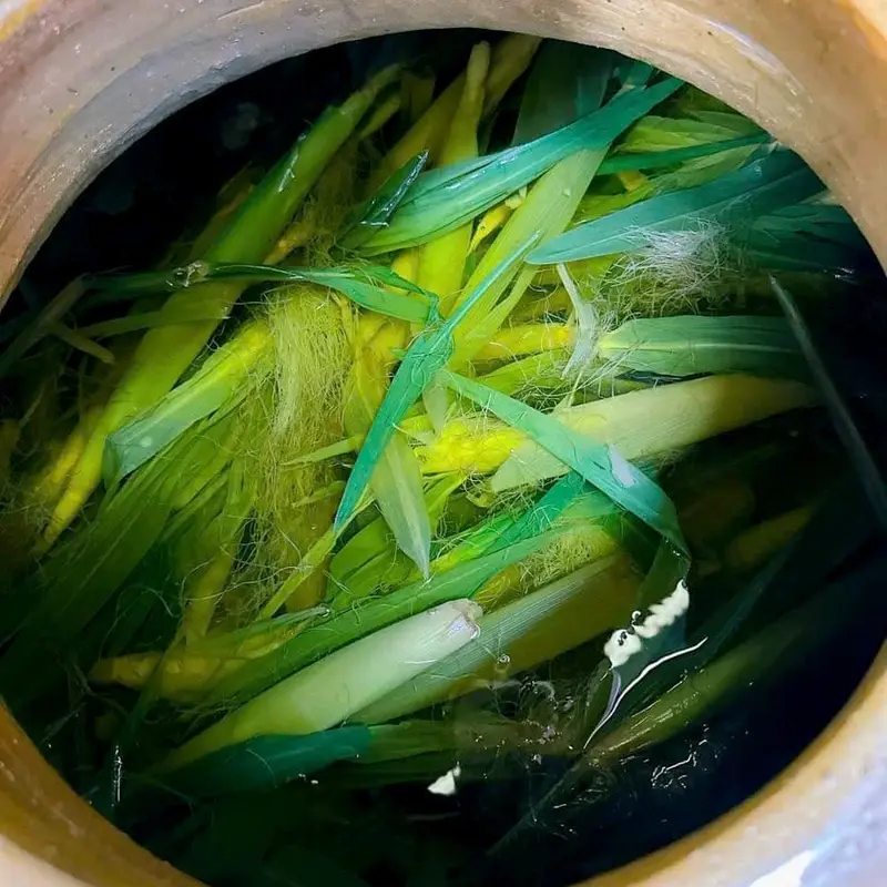 Sinh tố men lá Ngô Bao tử 5L+1L 2