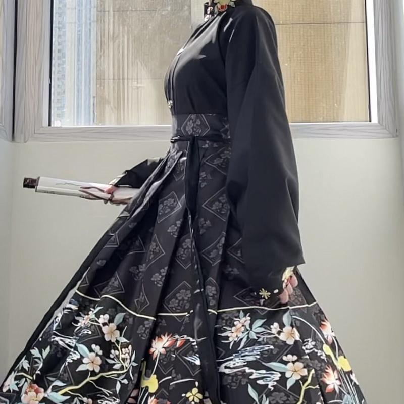 Chinese retro traditional clothing, Hanfu horse skirt, women's black long skirt Hanfu 2