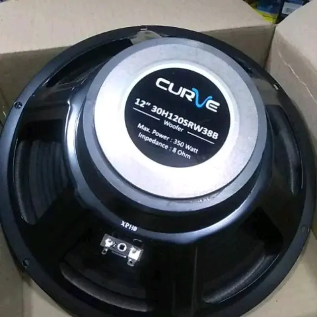 speker kurve 12in wofer bass Speaker Kanal Tengah