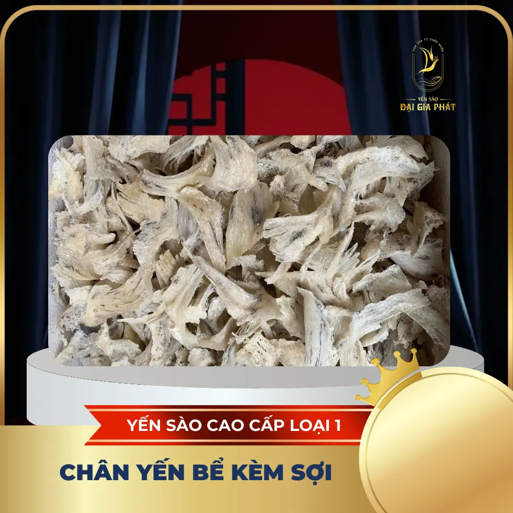 Chân Yến Bể Kèm Sợi ( Tặng nhíp, táo, đường, hạt chia ) - Yến Sào Nha Trang Khánh Hòa