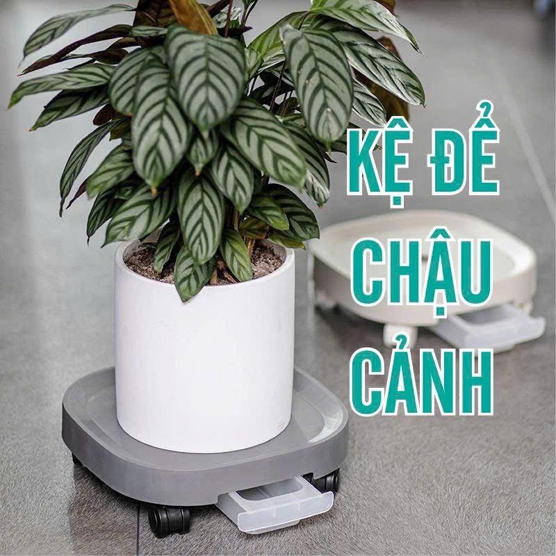 Đế lót chậu cây thông minh có bánh xe và khay hứng nước - Kệ đỡ hoa di động, trang trí và bình nước