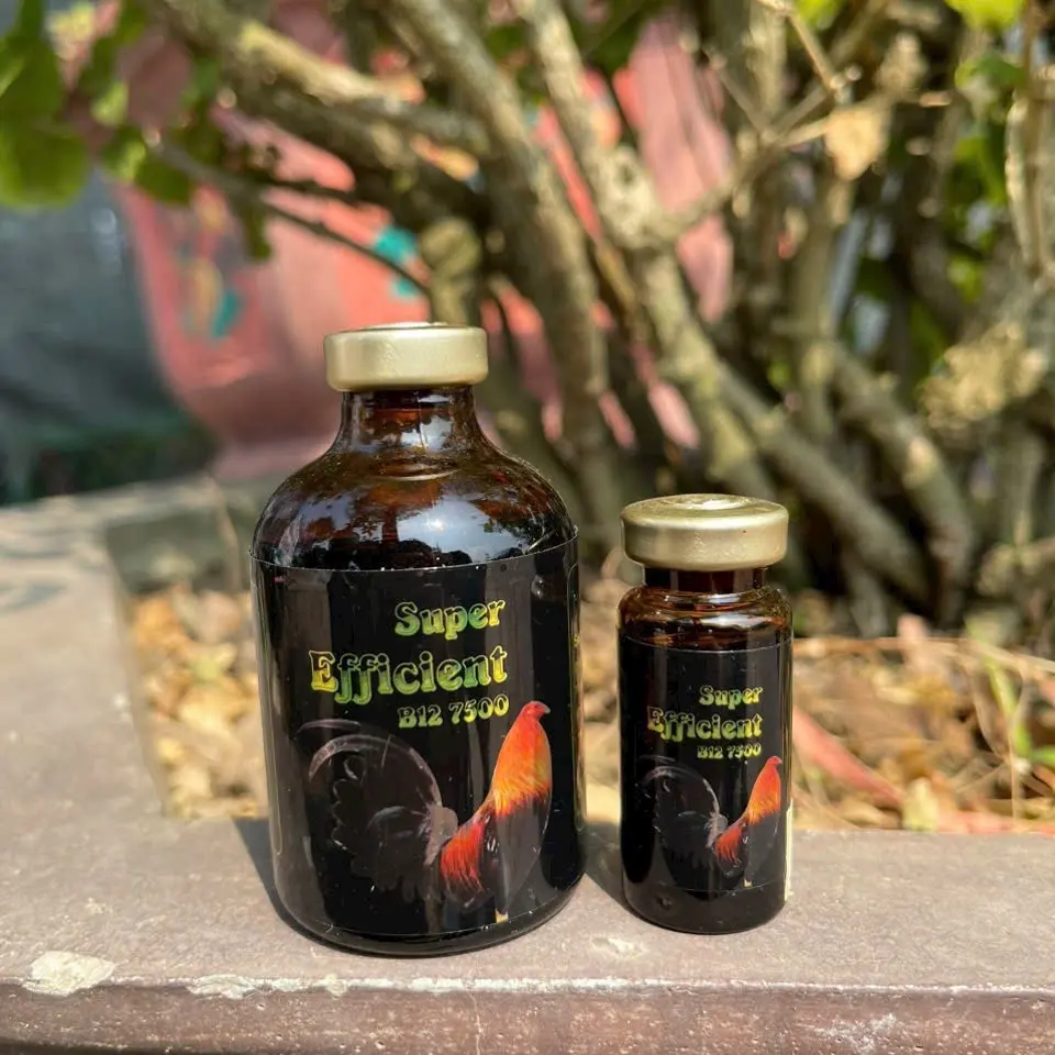 B12 7500 Nuôi gà đá tăng bo, chai chích 10ml, nhập khẩu Mexico chính hãng + thuốc gà, thuốc gà đá, thuốc cho gà đá, thuốc tăng bo gà đá