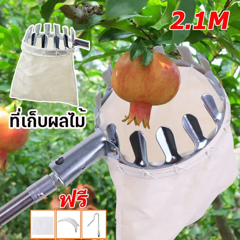 Goodneighbour-ตะกร้อสอยผลไม้ ไม้สอยมะม่วง 2.1M ด้ามยืดหดได้ มาพร้อมกับถุงผ้า ไม่ทำร้ายผลไม้ ไม่ต้องปีนต้นไม้ สอยมะม่วง สอยน้อยหน่า