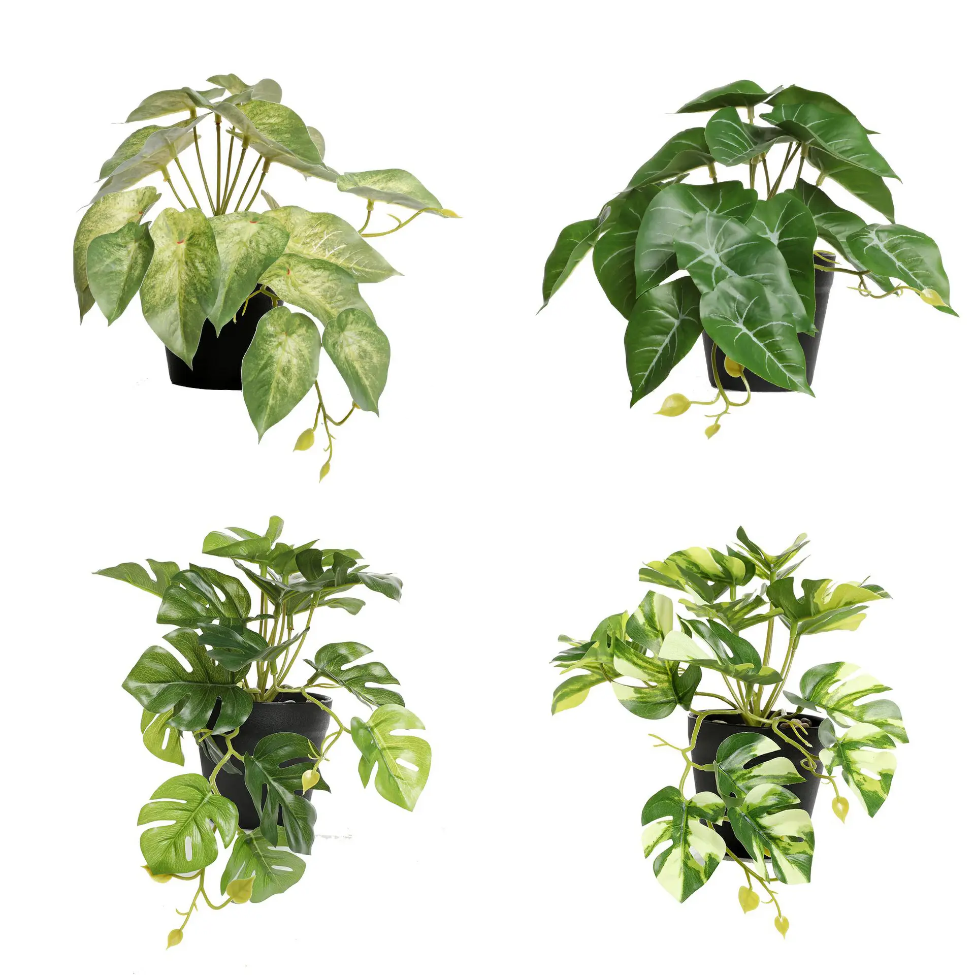 Simulation green plant small potted plant, green dill turtle leaf sweet potato leaf simulation plant, plant wall false flower turtle leaf bonsai