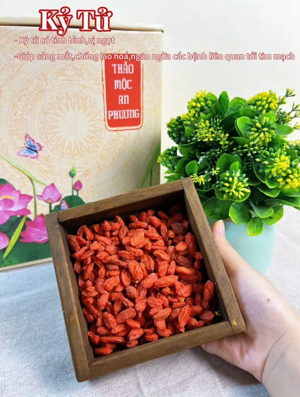 [MUA 1 TẶNG 3] Mua Hộp 30 Gói Trà Đông Trùng Tú Vị Tặng Thêm 1 Bình Giữ Nhiệt, Tặng Kèm Thêm 5 Gói Lẻ, Tặng 1 Gói Đường 6