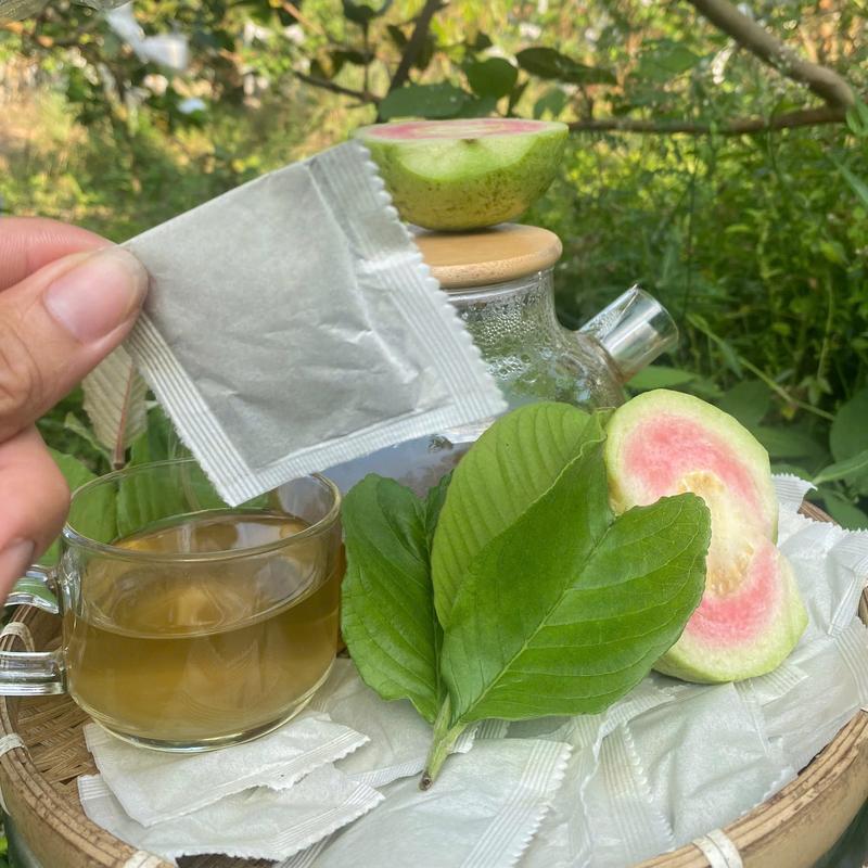 Trà Lá Ổi Hồng Túi Lọc  Vũ Đăng Khôi - Lá Non Ổi Hồng Nguyên Chất - Thơm Ngon Nước Trà trà  lá tea box