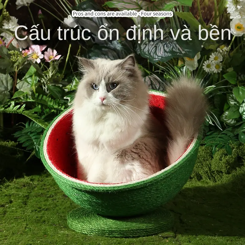 Ngôi nhà cào móng cho mèo, tàu vũ trụ, được thiết kế với lõi sisal nằm xuống và không có bụi ổ  cho  cún  nằm  ngủ ổ  mèo  ngủ cat  box  house cat  cat  house cat  tree chung  cư  mèo puppies  house  khăn giường  tầng  mèo nhà  mèo  kính nhà  kính  nuôi p