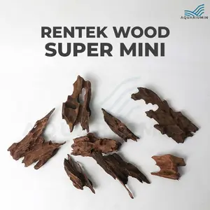Kayu Rentek / Rentek Wood Size Super Mini Detailing