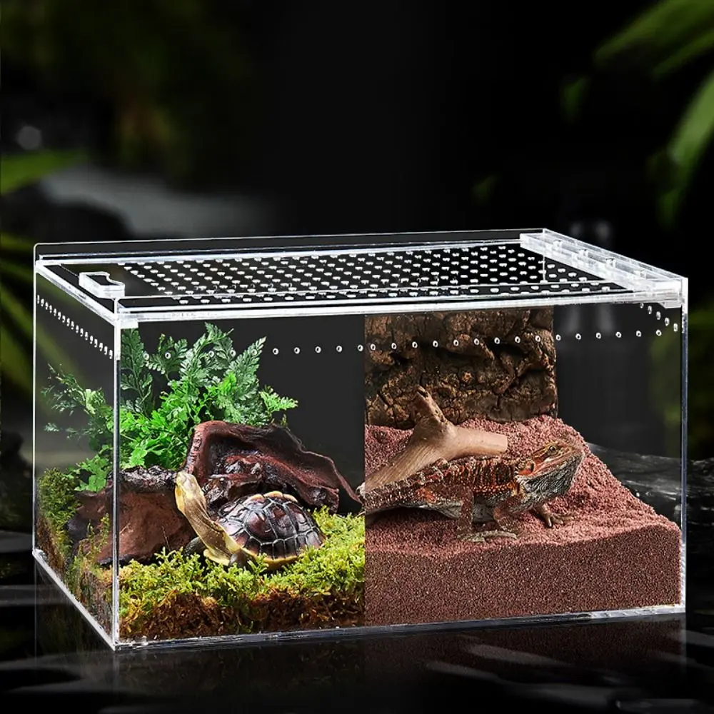 Practical Transparent Reptile Breeding Box Breathable Lizard Feeding Cage Prevent Escape Reptile Hatching Terrariums Spider Feeding Box Home