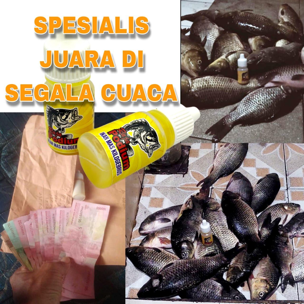 TERLARIS! Essen Ikan Mas Aroma Amis Wangi Paling Bagus Buat Mancing Lomba Harian KiloGebrus Ikan Rame Dan Indukan Babon 15ml Umpan