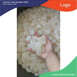 Kolang Kaling mentahan Segar 1kg Tanpa Bahan Pengawet.