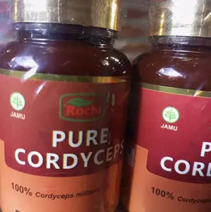 Pure Cordyseps herbal Jamur Cordyseps