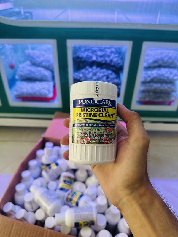 Vi Sinh Siêu Cấp Xử Lý Tảo Sống Và Phân Hủy Hữu Cơ Cho Hồ Cá Cảnh MICROBIAL PRISTINE Clean 14 - dùng cho cả nươc ngọt và nước mặn