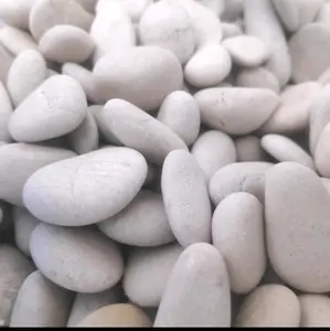 batu koral putih pipih, batu putih 25-30, batu taman pipih, 1 kg