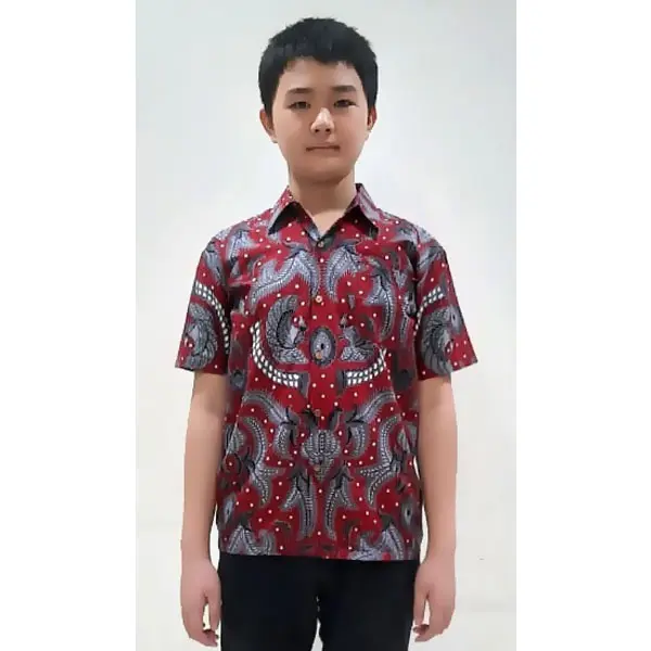 COD Baju Anak Laki-Laki Kemeja Batik Divania 2