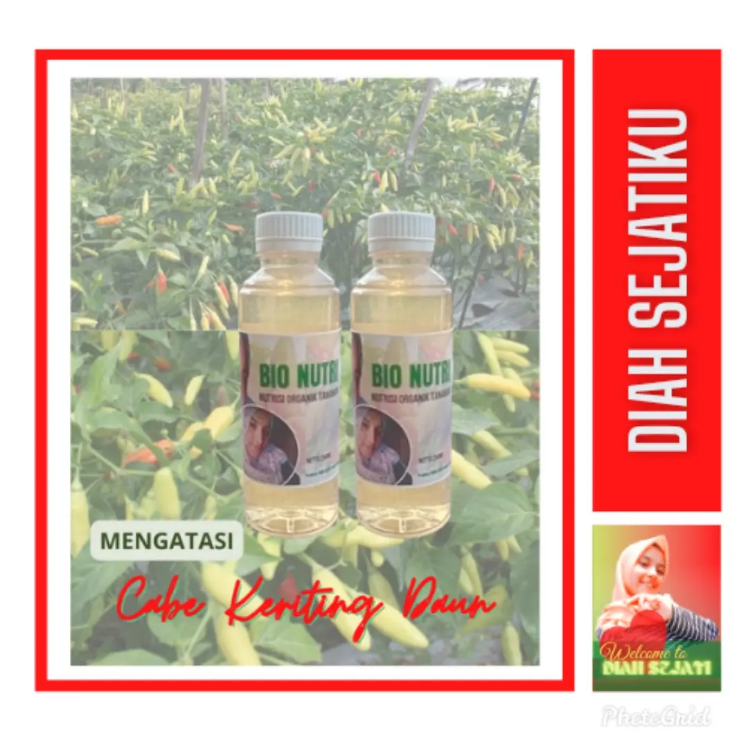Bio NUTRI Khusus Mengatasi Cabe Keriting Daun