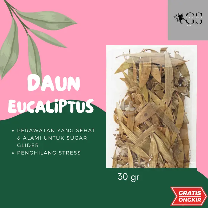 Daun Eucalyptus Terapi Sugar Glider Stres / Relaxation Alami Hewan Tanpa Pengharum