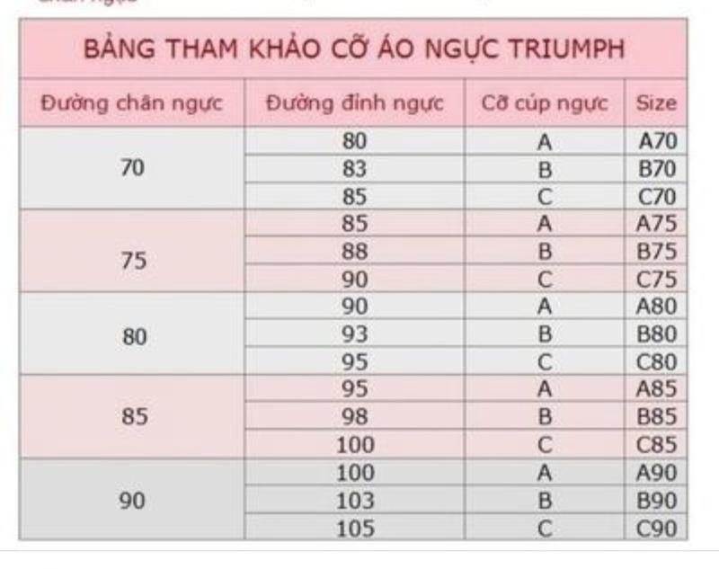 Product Introduction of Áo lót nữ Triumph From & Beauty 163 WP có gọng ren mút mỏng màu da, xám size 75b,c, 80b,c, 90c 0