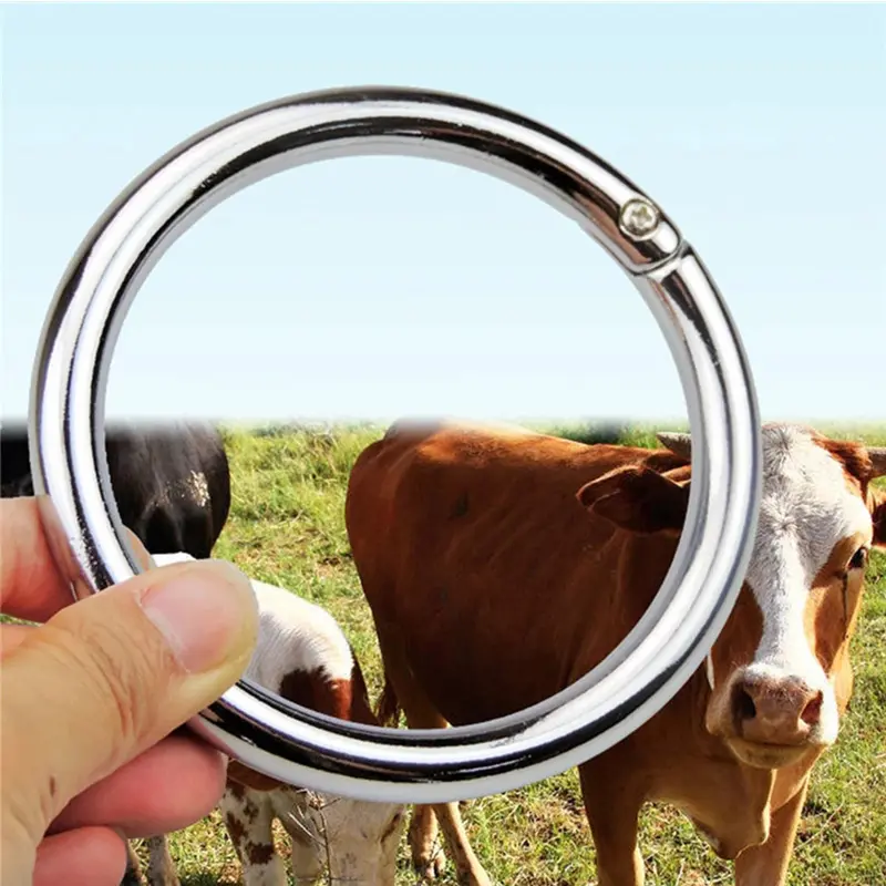 Cincin Ring Stainless Untuk Hidung Sapi Lembu Kerbau Cow Bull Ox Cattle Nose Ring Stainless 5