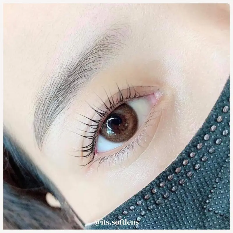 Softlens Natural Mini Primo Brown Normal & Minus + Free Lens Case Monthly Replace Trendy 0