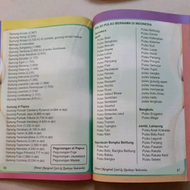 Buku Pintar Mengenal Seni Dan Budaya 34 Provinsi Di Indonesia books 3