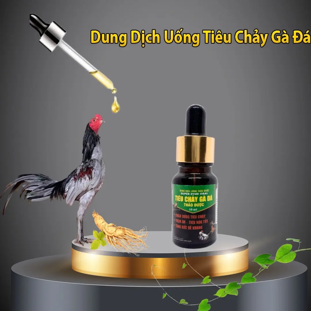Tiêu Chảy Gà Đá