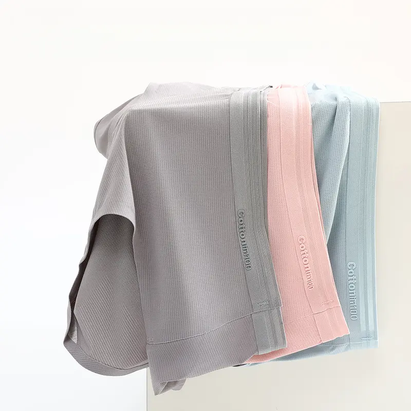 Seamless Young Lady's Panties Women's Pure Cotton All Cotton Crotch Antibacterial Ice Silk Summer Breathable Comfortable Triangle Shorts Lingerie Womenswear